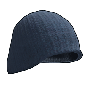 BlueBeenieHat